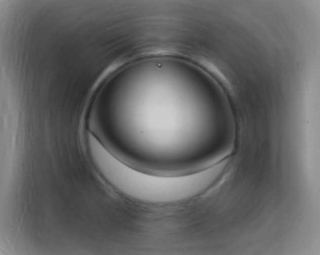 X0000113181181200909111048