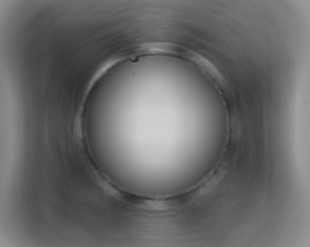 X0000113181182200909111048