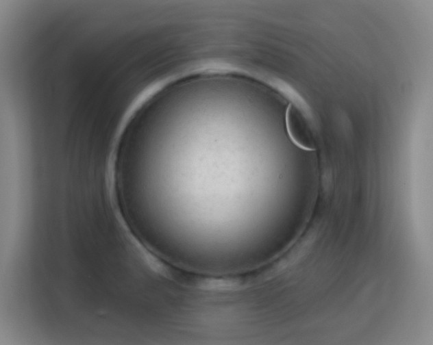 X0000113181183200909111048