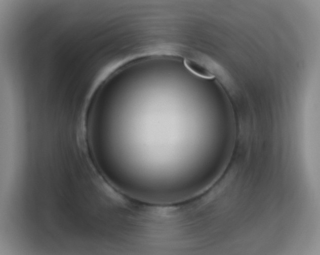 X0000113181184200909111048