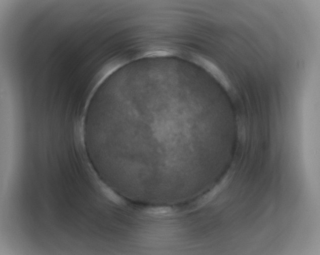 X0000113181186200909111048
