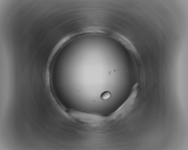 X0000113181188200909111048