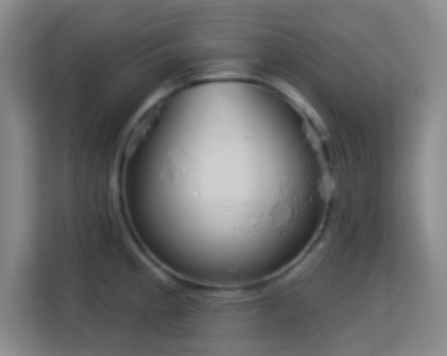 X0000113181189200909111048