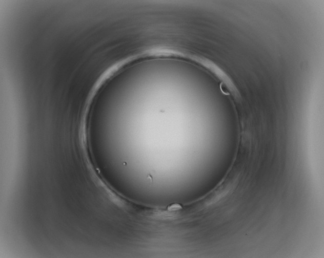 X0000113181191200909111048