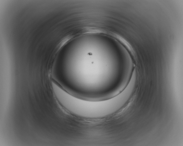 X0000113181193200909111048