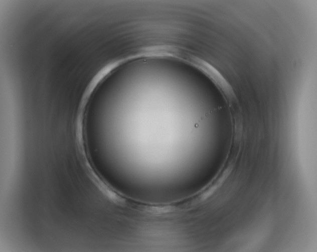 X0000113181196200909111048