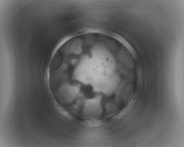 X0000113181198200909111048