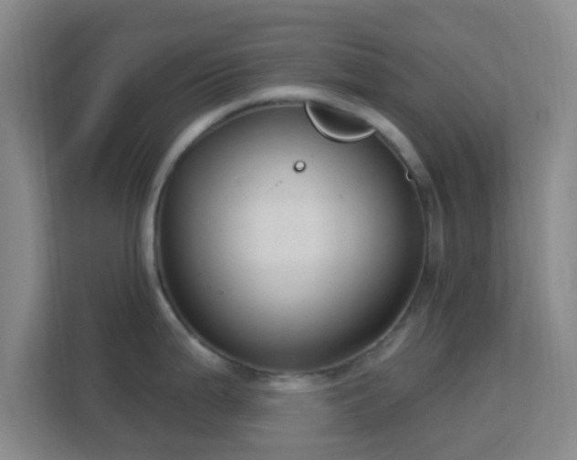 X0000113181199200909111048