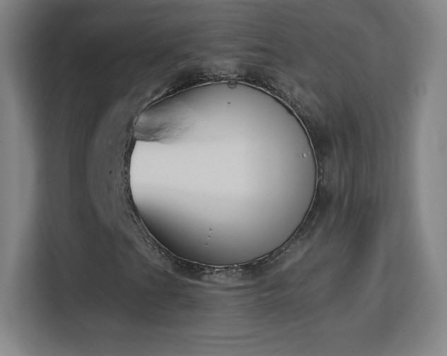 X0000113181201200909111047