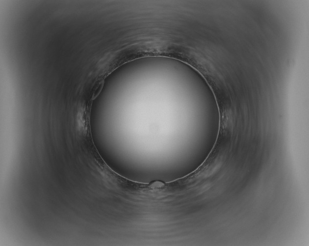 X0000113181202200909111047