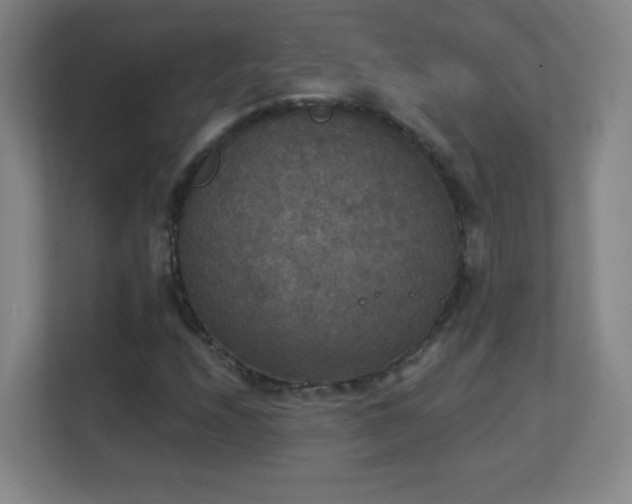 X0000113181208200909111048