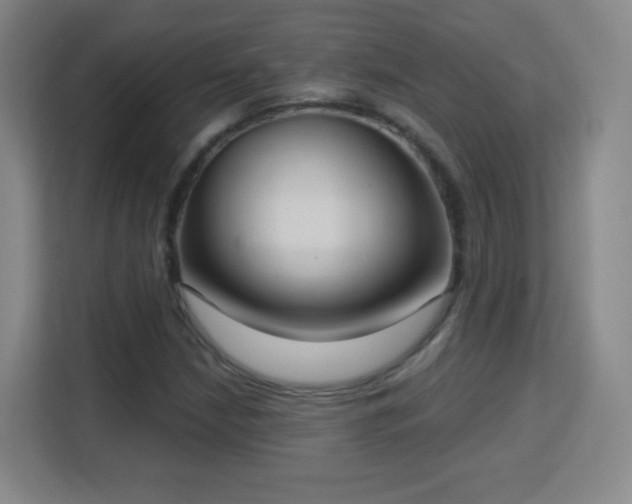X0000113181210200909111048