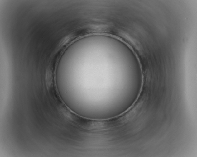 X0000113181211200909111048