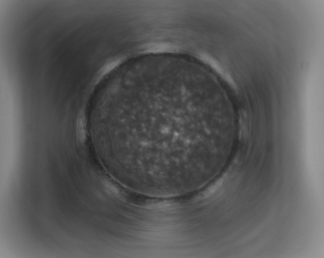X0000113181213200909111048