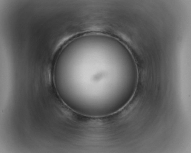 X0000113181214200909111048