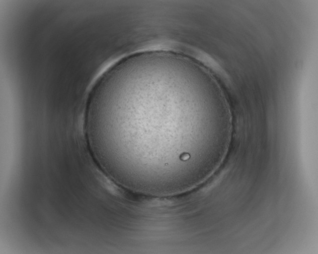 X0000113181216200909111048