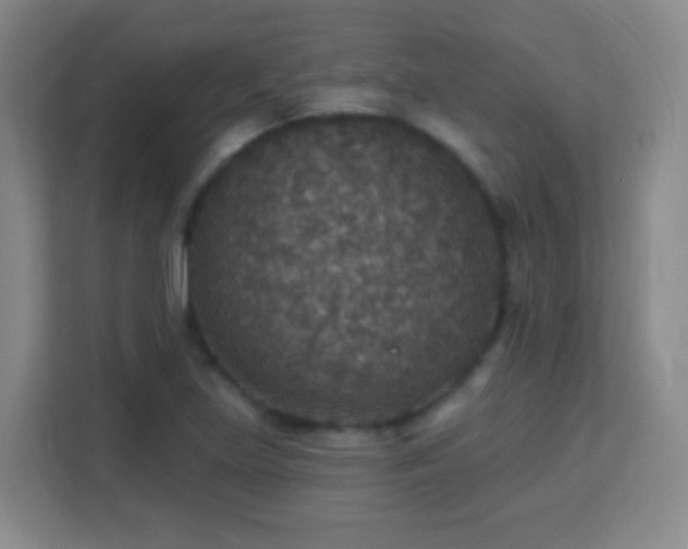 X0000113181219200909111048