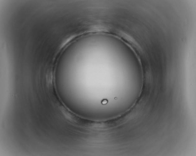 X0000113181220200909111048
