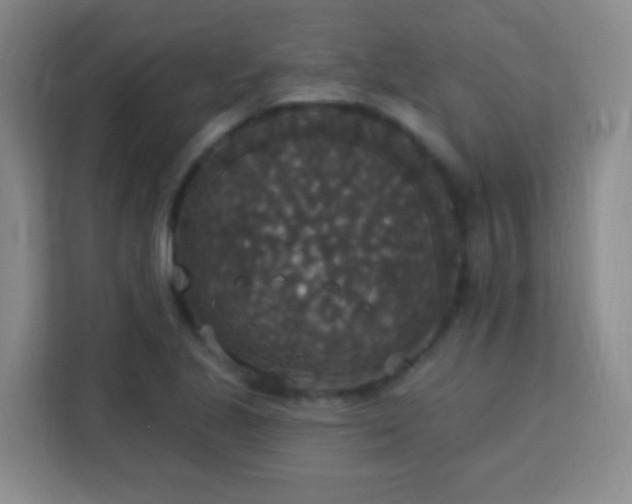 X0000113181221200909111048