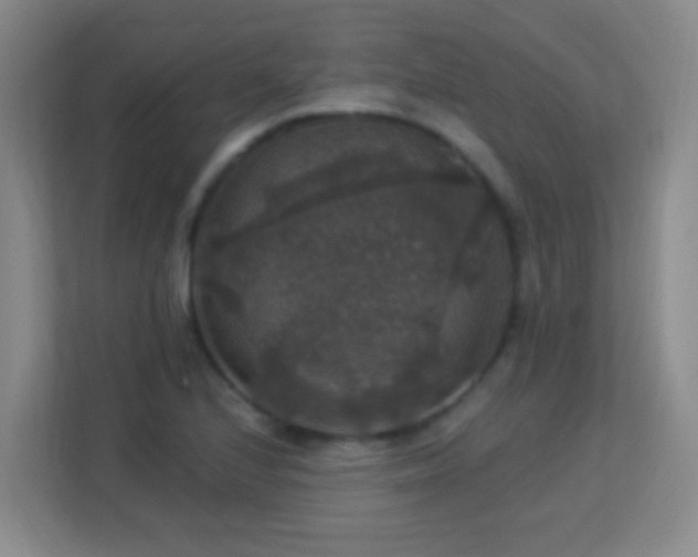 X0000113181224200909111048
