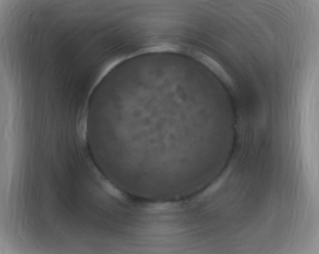 X0000113181228200909111048