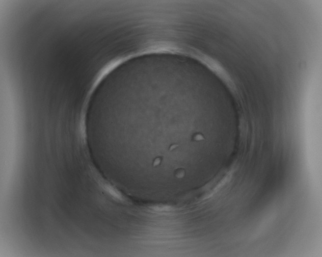 X0000113181230200909111048