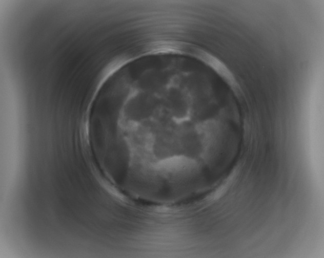 X0000113181234200909111048