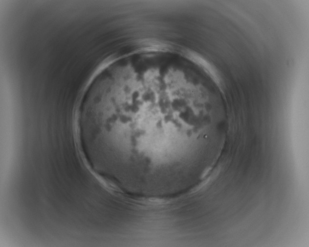 X0000113181235200909111048