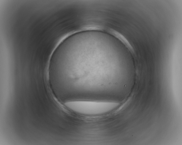 X0000113181236200909111048