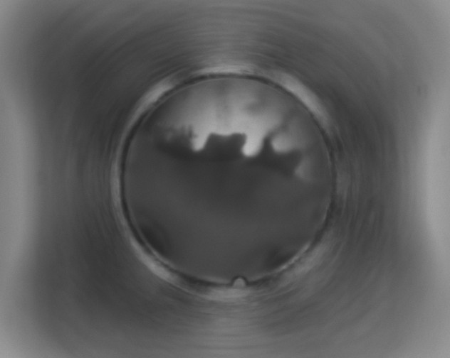 X0000113181237200909111048