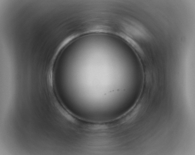 X0000113181238200909111048
