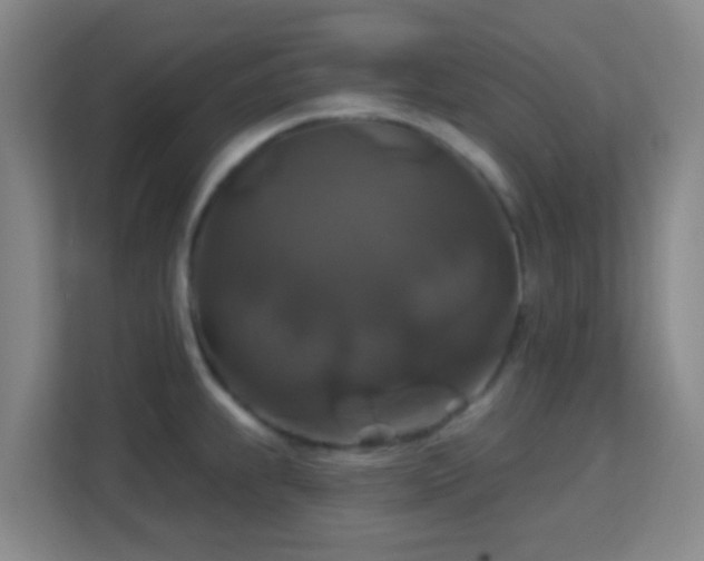 X0000113181239200909111048