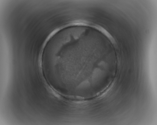 X0000113181240200909111048