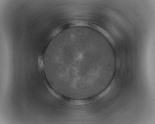 X0000113181241200909111048