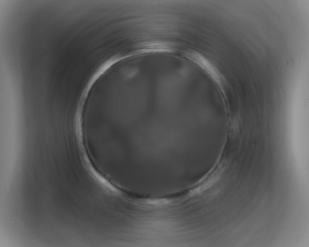 X0000113181243200909111048