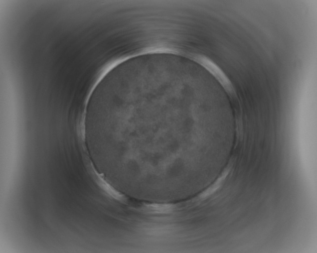 X0000113181244200909111048