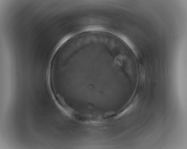 X0000113181245200909111048