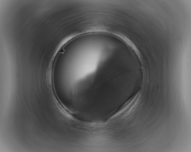 X0000113181246200909111048