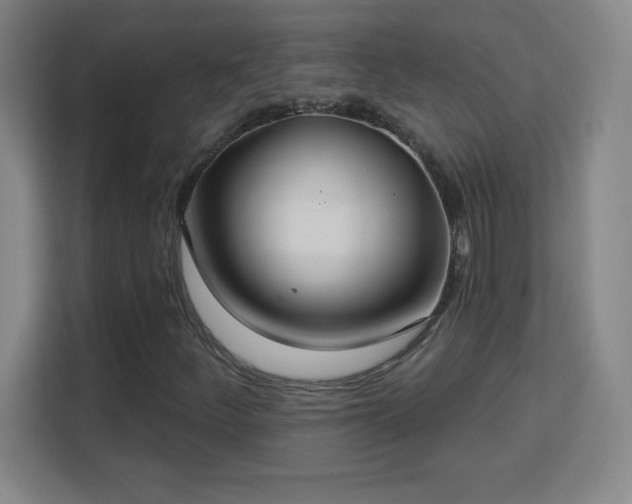 X0000113181252200909111047