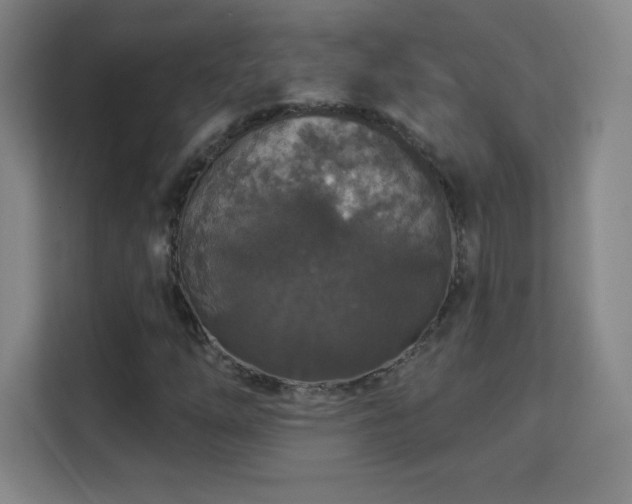 X0000113181254200909111047