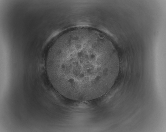 X0000113181255200909111047