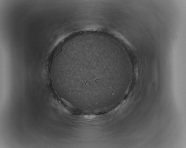 X0000113181256200909111047