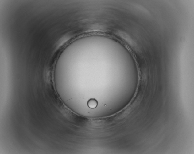 X0000113181258200909111047