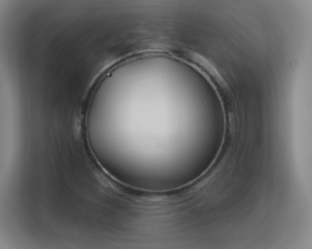 X0000113181260200909111047