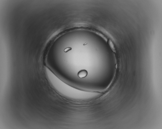 X0000113181261200909111047