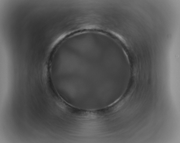 X0000113181263200909111047