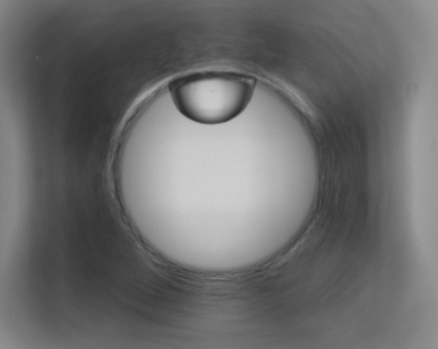 X0000113181264200909111047