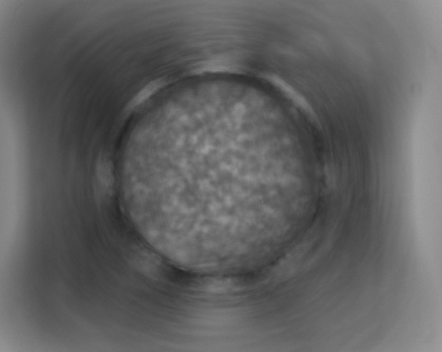 X0000113181266200909111047
