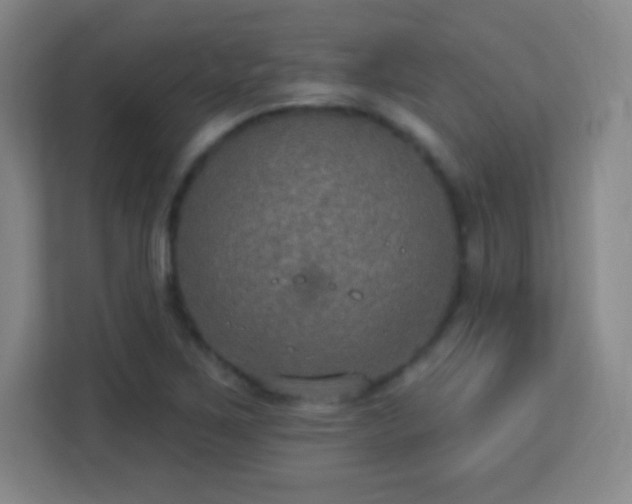 X0000113181267200909111047