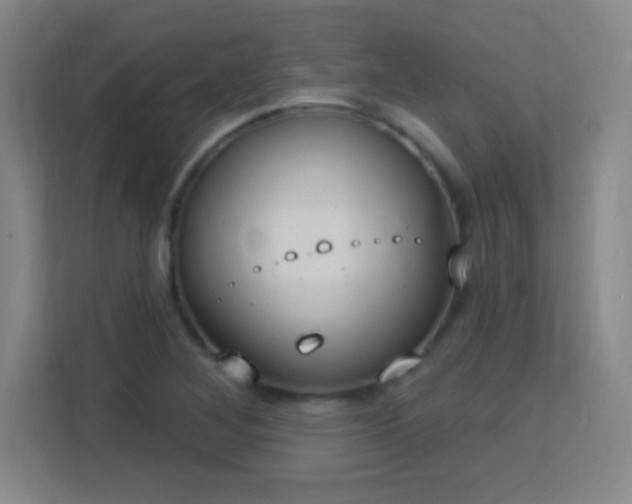 X0000113181268200909111047